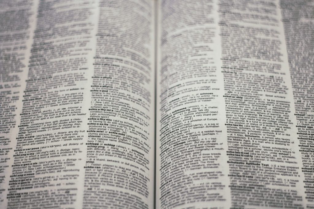 Danish Language Requirements