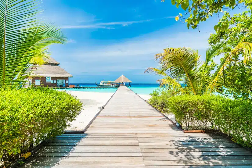 Beautiful Beaches and Natural Landscapes