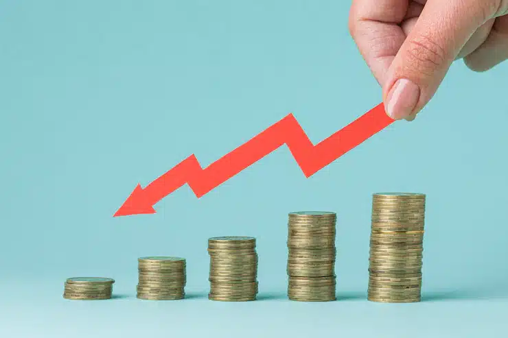 Interest Rate Risk