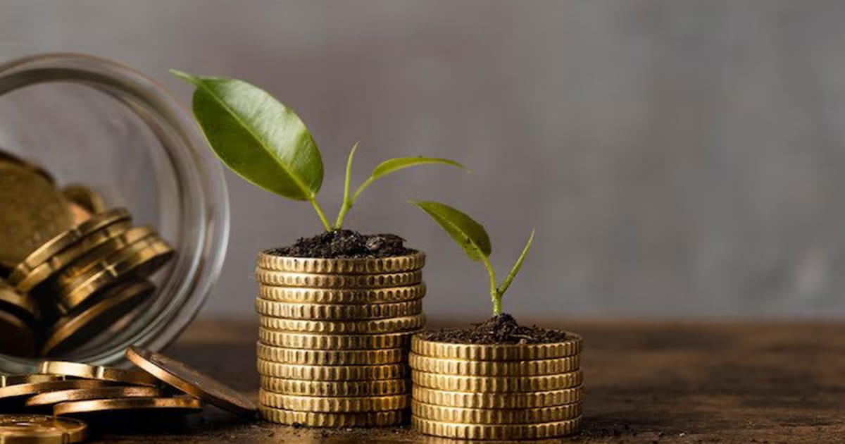Investment Decisions