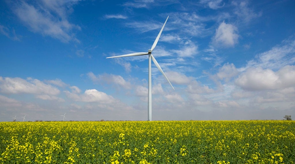 Renewable Energy Focus