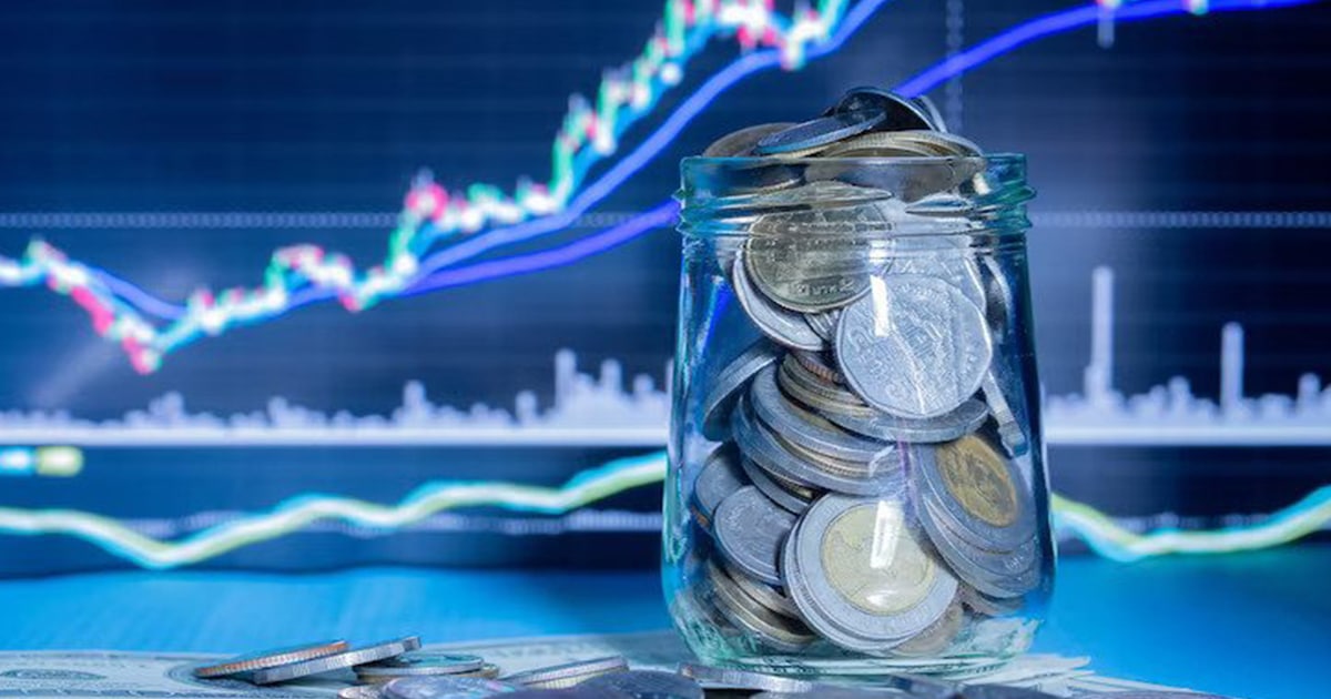 Investing In A Startup