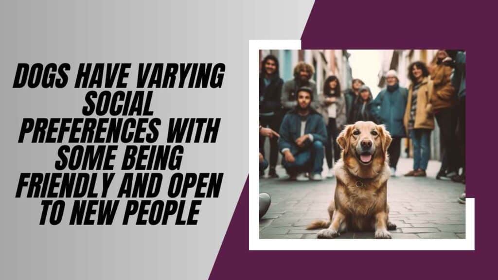 Allowing Strangers To Interact Without Consent
