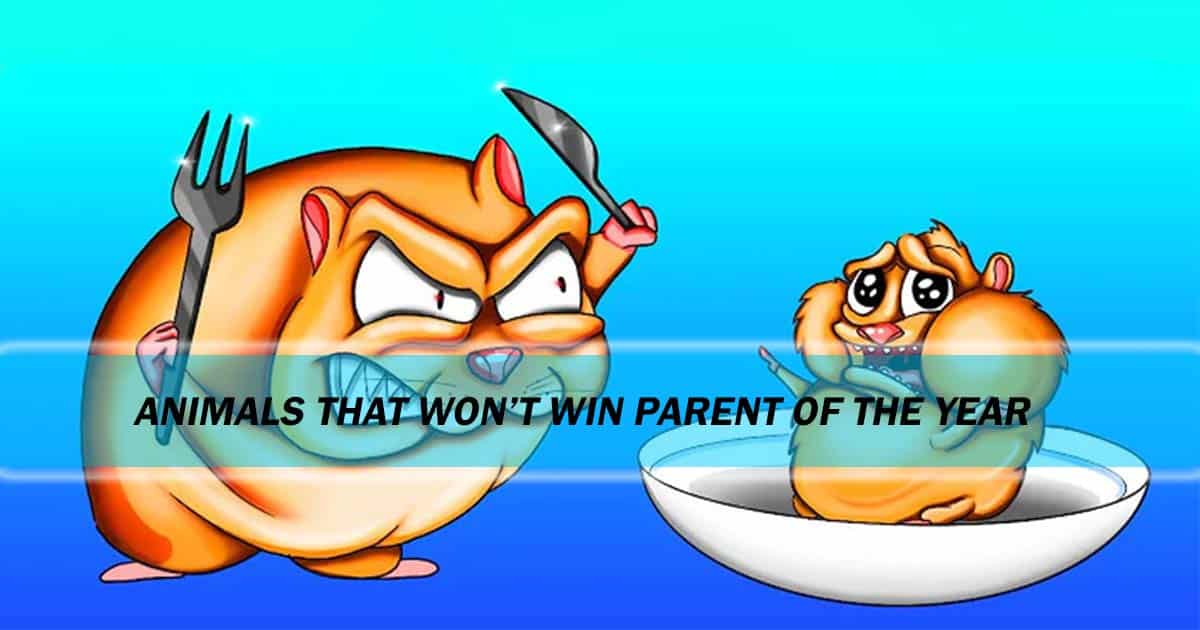 Animals That Won't Win “Parent Of The Year”