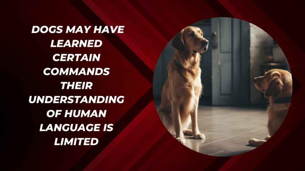 Communicating With Words Rather Than Body Language
