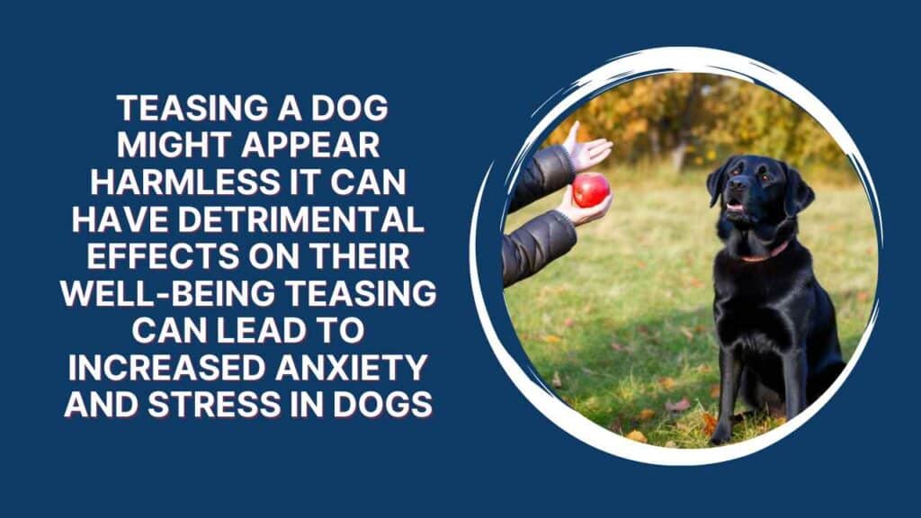 Teasing Your Dog