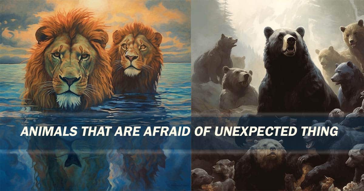 Animals That Are Afraid Of Unexpected Things