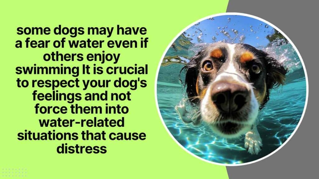 Ignoring Fear Of Water 