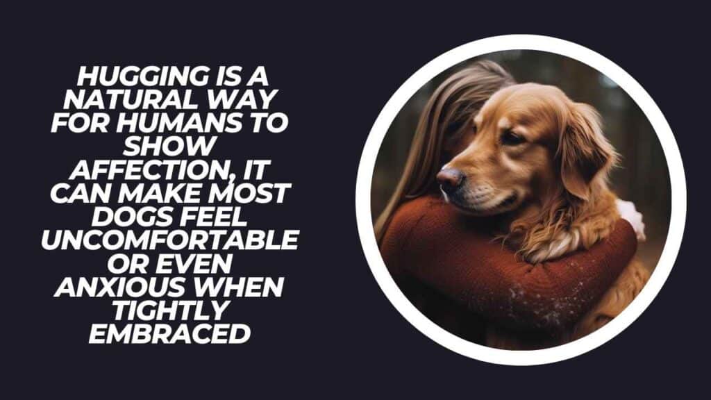 Hugging Dogs 