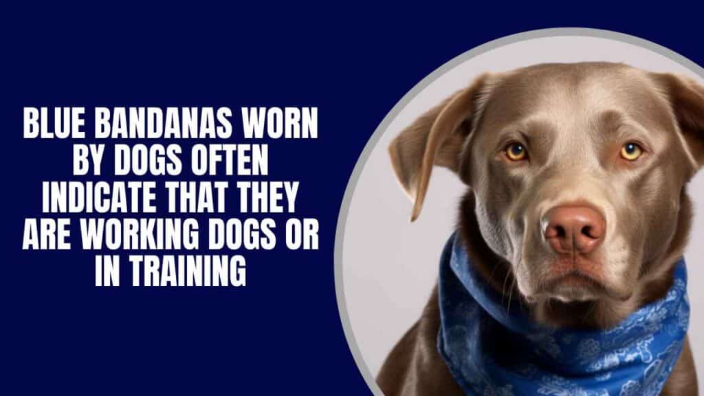 Blue Bandana - Working Dogs And Assistanc
