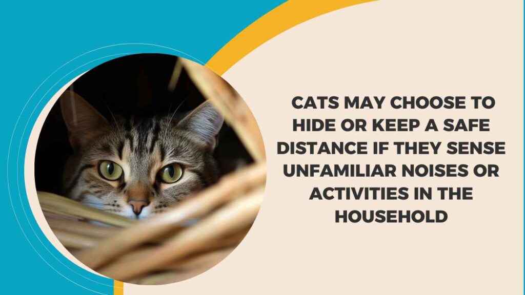 Unusual Hiding And Distant Behavior