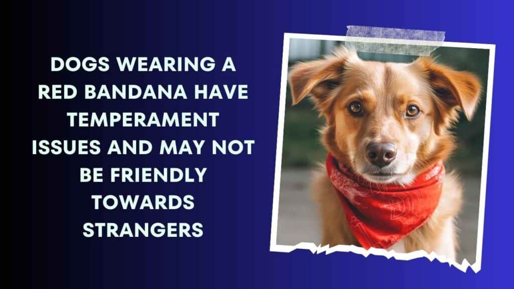 Red Bandana - Warning, Approach With Caution 