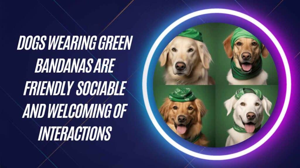 Green Bandana - Friendly And Sociable 