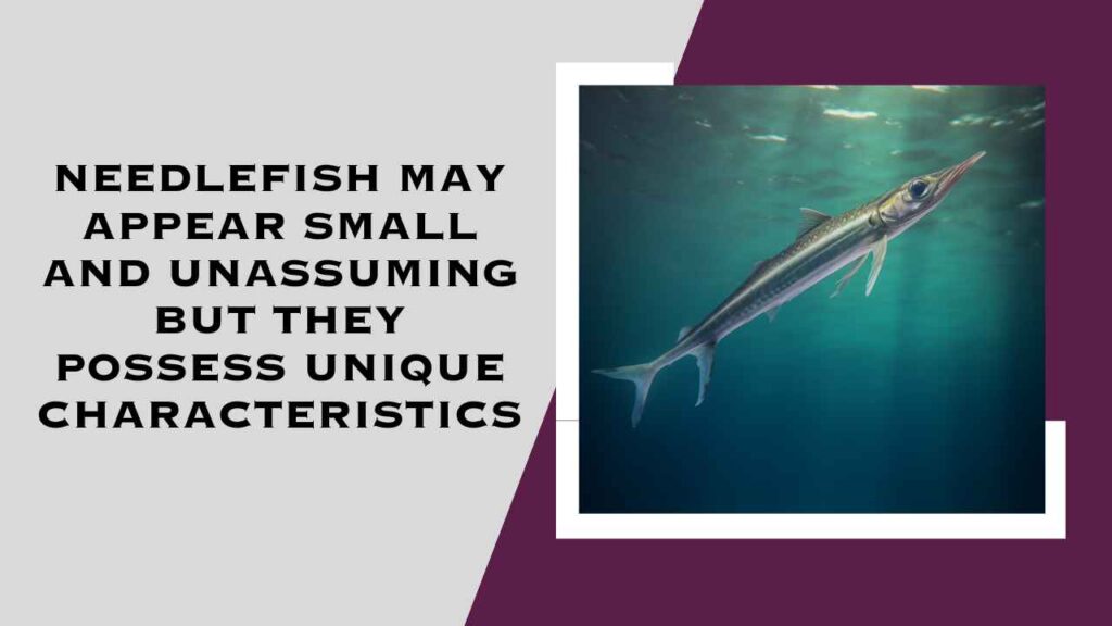 Needlefish