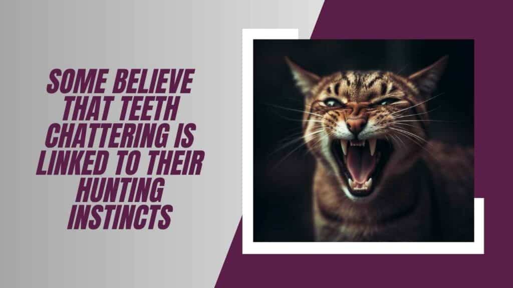 The Mysterious Teeth Chattering