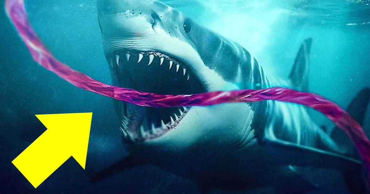 Why Sharks Attack Undersea Internet Cables