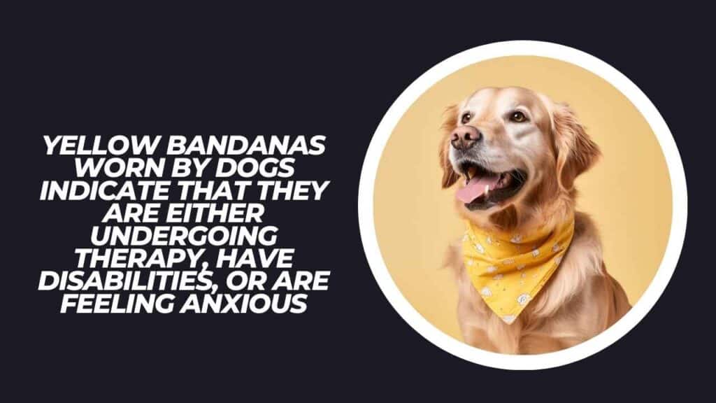 Yellow Bandana - Therapy, Disabilities, Or Anxiousness