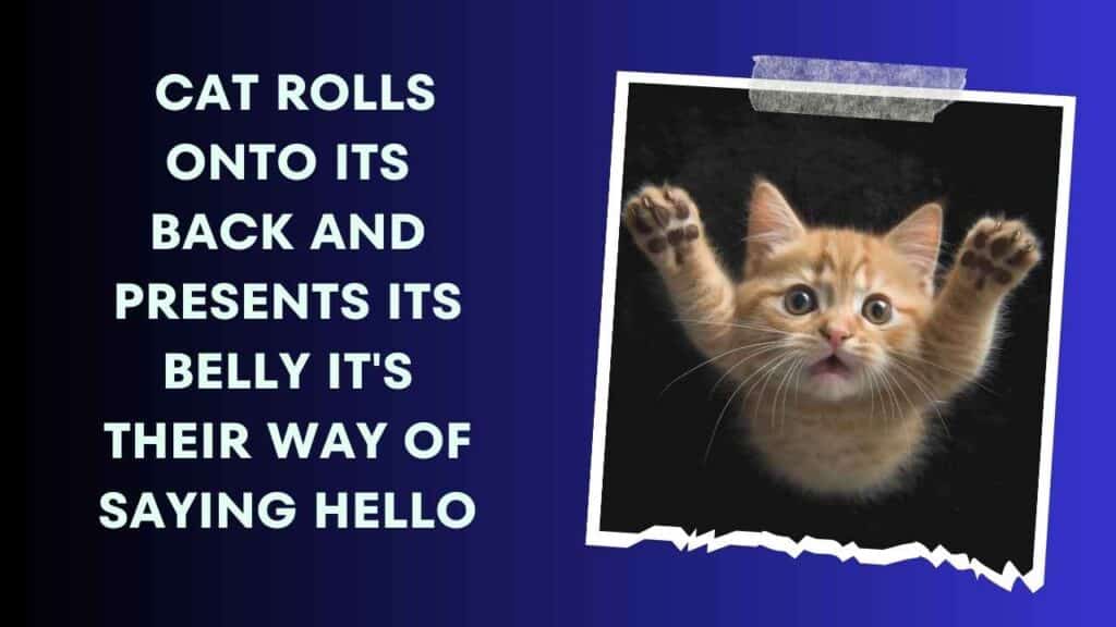 A Friendly Greeting And Trust