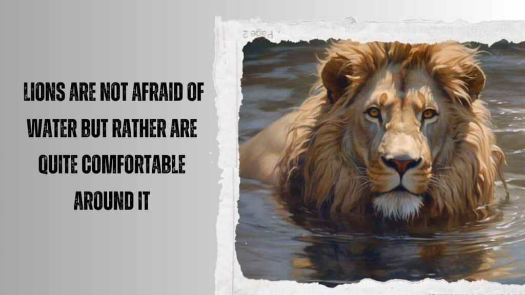 Lions And The Myth Of Water