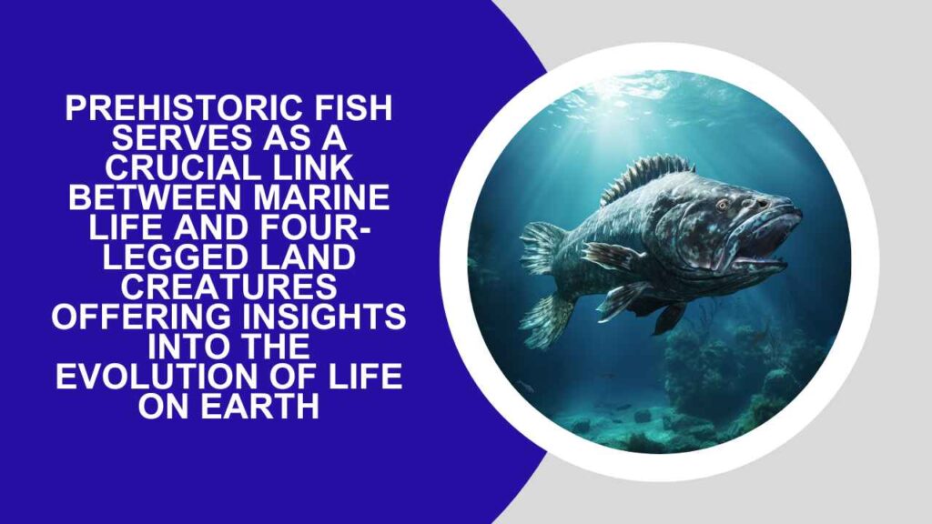 The Living Fossil: The Coelacanth