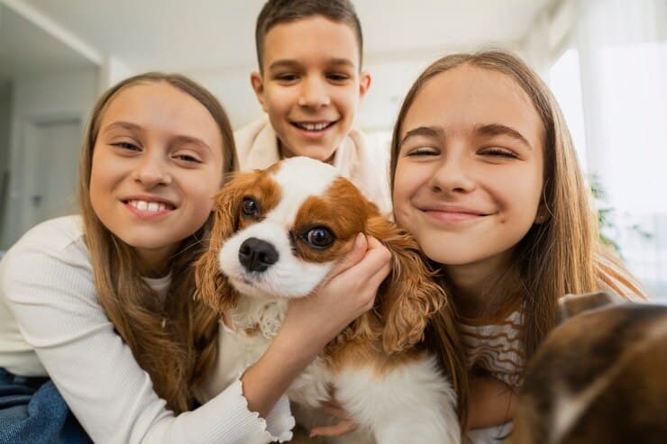 pet adoption