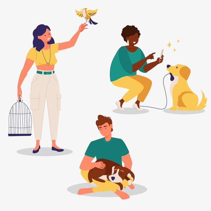 pet activity guide