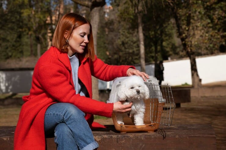 pet adoption