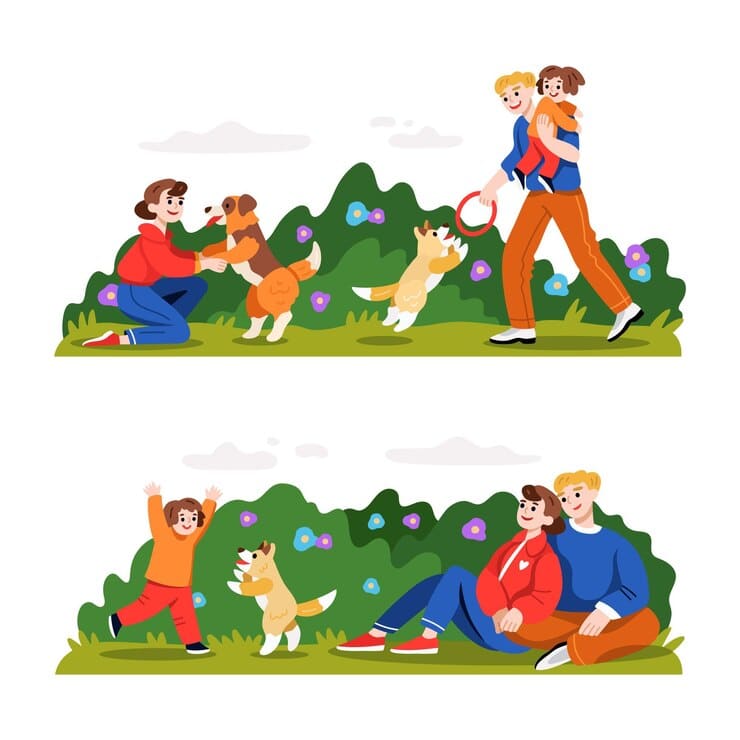 pet activity guide