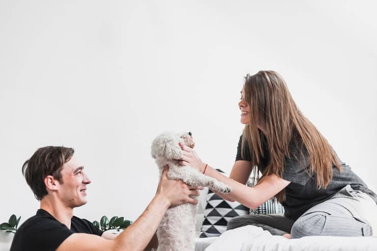 pet adoption