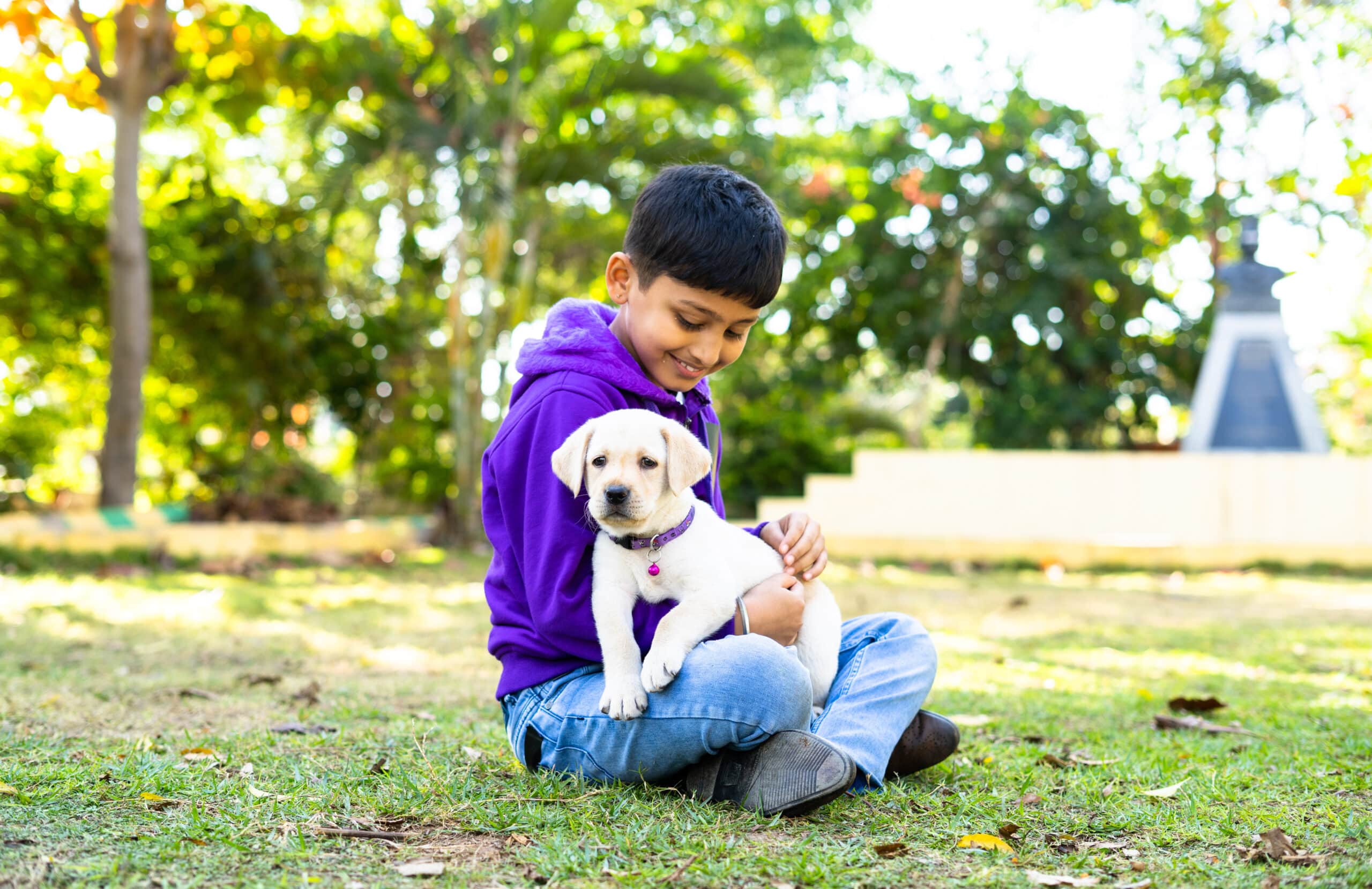 5 Ways To Take Care Of Pets